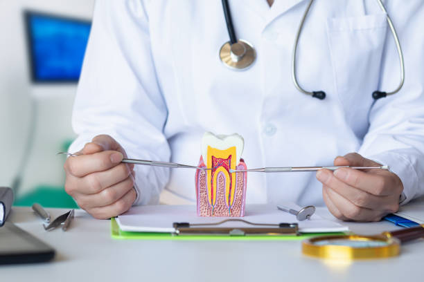 Best Emergency Tooth Extraction in Millville, UT